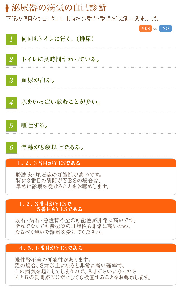 hinyou_b